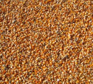 grain storage