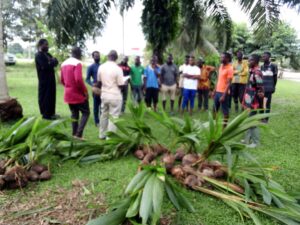 Economics Assembly Seedlings 1