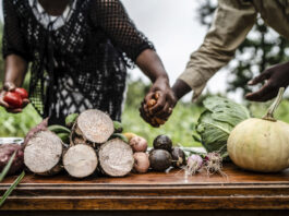 World Food Day commemorates the founding in 1945 of the Food and Agriculture Organization of the United Nations ©FAO / Fredrik Lerneryd