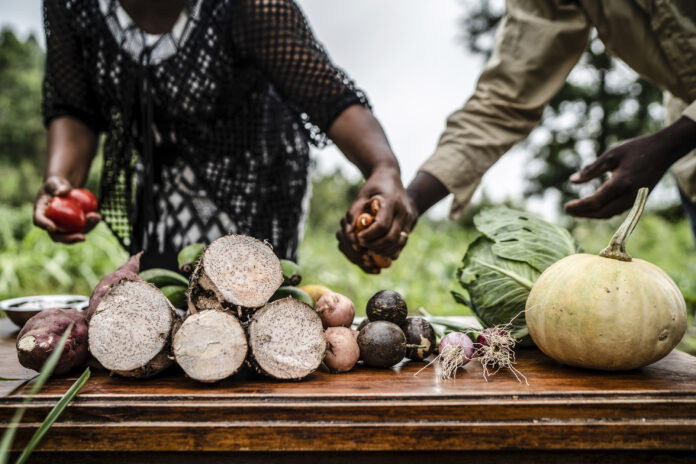 World Food Day commemorates the founding in 1945 of the Food and Agriculture Organization of the United Nations ©FAO / Fredrik Lerneryd World Food Day commemorates the founding in 1945 of the Food and Agriculture Organization of the United Nations ©FAO / Fredrik Lerneryd