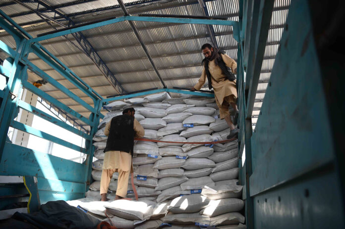 Workers moving bags of fertilizers and seeds inside a storage centre in Afghanistan. ©FAO/Fahad Kaizer