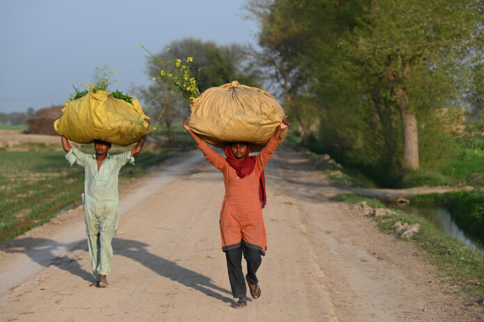More than 80 percent of the world’s smallholders and family farmers live off the land in the Asia-Pacific region