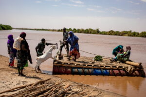 Taking a goat to market in Somalia.