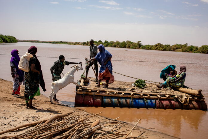 Taking a goat to market in Somalia.