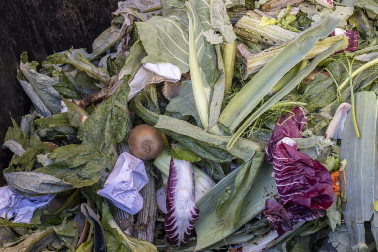 The food that we lose and waste could feed 1.26 billion hungry people every year.