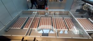 Chocolate Processing