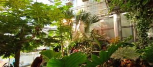 Greenhouse