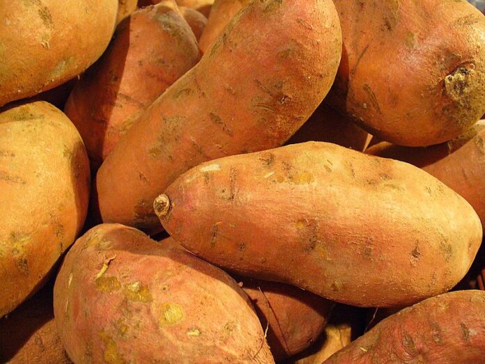 potatoes potatoes