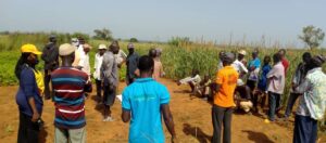 Science Farmers Advice