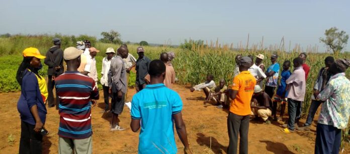 Science Farmers Advice Science Farmers Advice