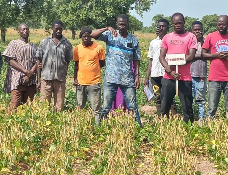 Farmers at the farm