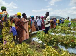 Social MTN Farmers 1