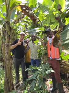 ksi Environment Trees Inspection 1
