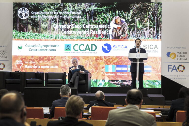 FAO Director-General QU Dongyu speaking at the Dry Corridor event. ©FAO/Alessandra Benedetti