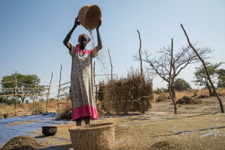 A woman winnowing her grain in Aweil, South Sudan. ©FAO/Mayak Akuot