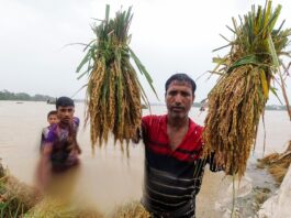 SFERA is a pooled funding mechanism with streamlined procedures to receive flexible contributions from donors and allocate them where and when they are most needed. ©FAO