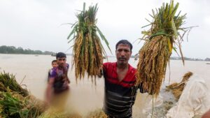 SFERA is a pooled funding mechanism with streamlined procedures to receive flexible contributions from donors and allocate them where and when they are most needed. ©FAO