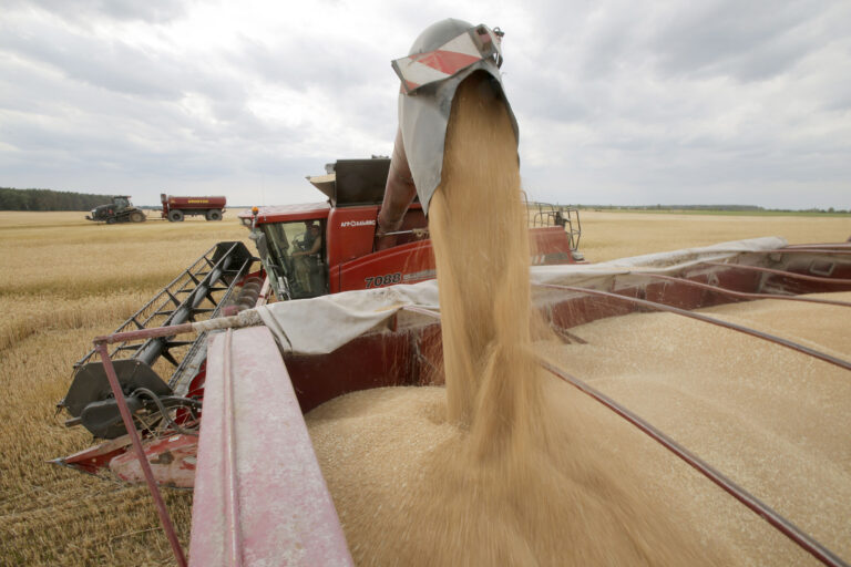 Combine reloads wheat into the bunker for further transportation during the harvest near the Krasne village, Ukraine, July 2019. ©FAO/Anatolii Stepanov