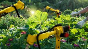 Automation can make agricultural production more resilient and productive, improve product quality, increase resource-use efficiency, promote decent employment, and enhance environmental sustainability, according to the report.©FAO