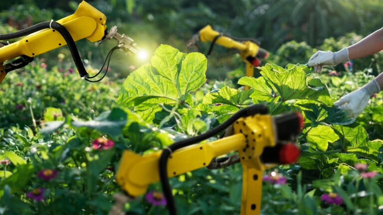 Automation can make agricultural production more resilient and productive, improve product quality, increase resource-use efficiency, promote decent employment, and enhance environmental sustainability, according to the report. ©FAO
