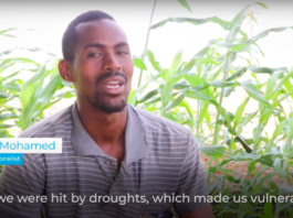 Anticipatory Action is Helping Rural Families to Overcome Drought in Somalia