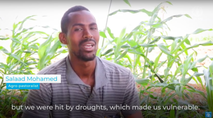 Anticipatory Action is Helping Rural Families to Overcome Drought in Somalia