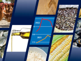 FAO Food Outlook ©FAO