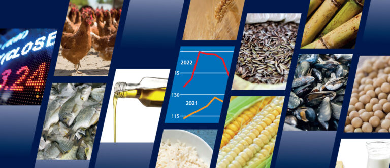 FAO Food Outlook ©FAO