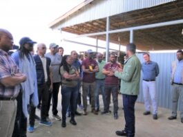 MDT Members visiting the Yirgalem Integrated Agro-Industrial Park in Sidama State, Ethiopia. ©/FAO