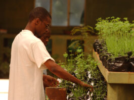 GEF, a partnership of 18 agencies and 183 countries, addresses the world’s most challenging environmental issues related to biodiversity, climate change, land degradation, chemicals, and international waters. ©FAO/Giuseppe Bizzarri