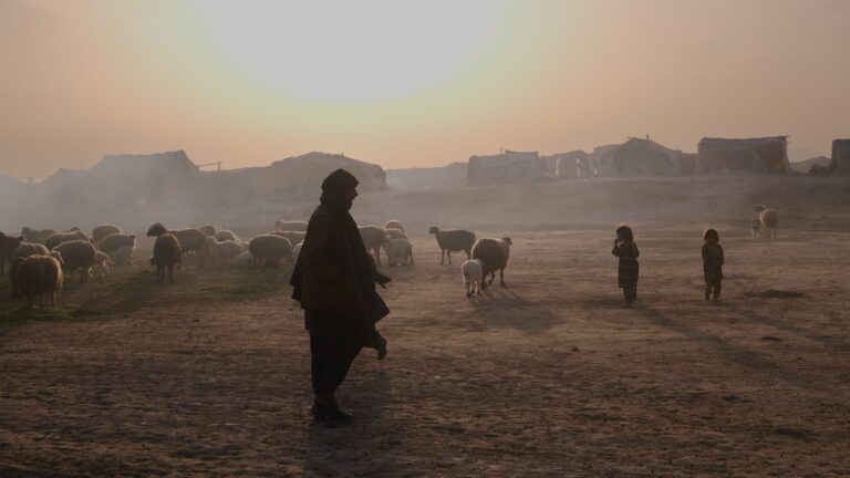 With less than 4 percent of the of the $51.5 billion required across all appeals for 2023, FAO can provide time-critical livelihoods assistance to almost 50 million most vulnerable people. ©FAO/Richard Trenchard
