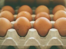 Egg suppliers face losses amid Burkina Faso export restrictions