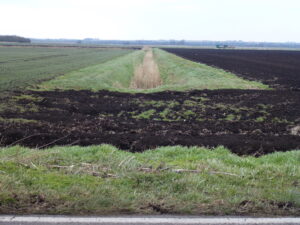 Black soils are characterized by a thick, dark-coloured soil horizon rich in organic matter.©FAO/Richard Humphrey