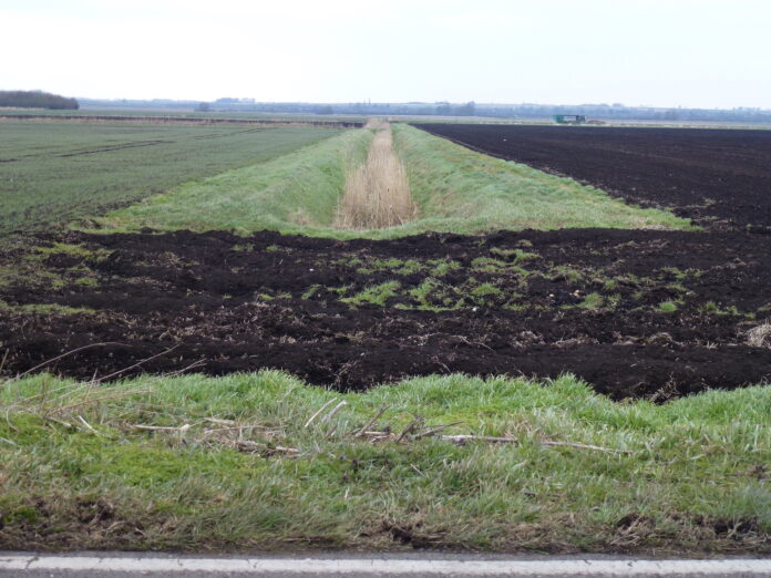Black soils are characterized by a thick, dark-coloured soil horizon rich in organic matter. ©FAO/Richard Humphrey Black soils are characterized by a thick, dark-coloured soil horizon rich in organic matter. ©FAO/Richard Humphrey