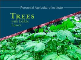 Trees4Resilience