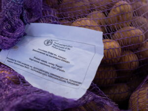 Distributing potato starter kits in Dnipropetrovska oblast.©FAO/Oleksandr Mliekov