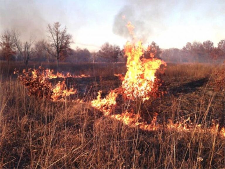 bush fire in Ghana