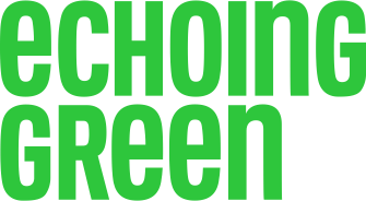 Echoing Green Fellowship