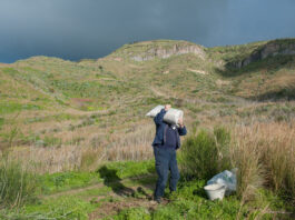 A farmer in Sicily carrying wheat seeds. ©© FAO/Giorgio Cosulich