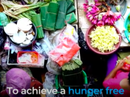 The right to food and responsible investment in agrifood systems