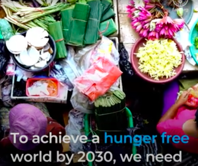 The right to food and responsible investment in agrifood systems The right to food and responsible investment in agrifood systems