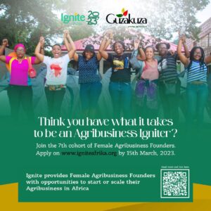 African Women in Agribusiness Programme - IGNITE