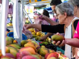 The report presents a clear relationship between the inability to afford a healthy diet and such variables as a country's income level, the incidence of poverty, and the level of inequality. ©FAO/Miguel Schincariol