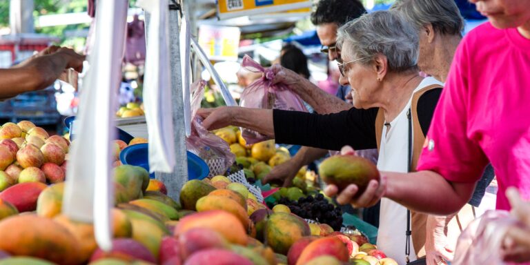 The report presents a clear relationship between the inability to afford a healthy diet and such variables as a country's income level, the incidence of poverty, and the level of inequality. ©FAO/Miguel Schincariol