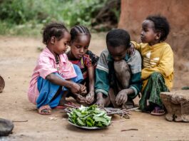UN agencies identified five priority actions to help address acute malnutrition in countries affected by conflict and natural disasters and in humanitarian emergencies. ©FAO/Luis Tato
