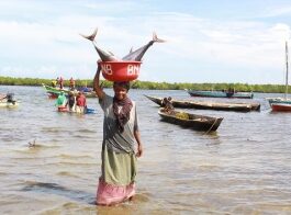 A woman carrying the catch of day, tuna, at Zingibari landing site @FAO/AliceMaro