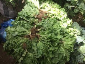 vegetables