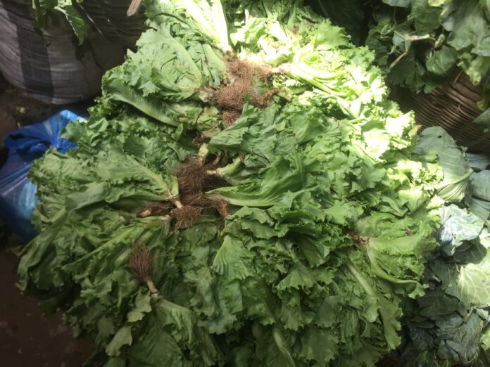 vegetables
