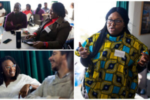 Swedish Institute Management Programme Africa