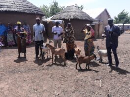 Some of the beneficiaries with their goats